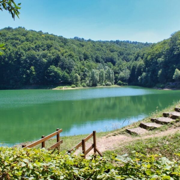 Exploring Brod-Posavina: Unveiling the Natural Splendors of Lake Petnja