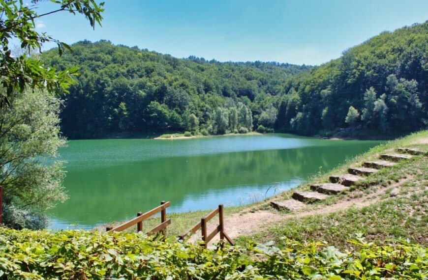 Exploring Brod-Posavina: Unveiling the Natural Splendors of Lake Petnja