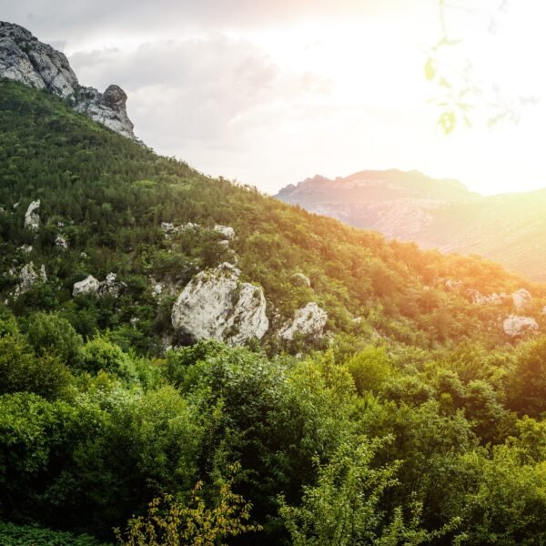 Exploring Jakšić: Unveiling Nature's Paradise in Požega-Slavonia