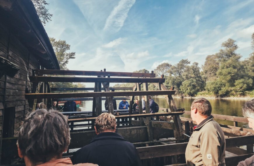 Exploring Međimurje: A Journey into Innovative Child Development and Cultural Delights