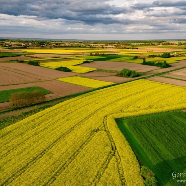 Unveiling the Enchanting Charms of Koprivnica: A Croatian Gem